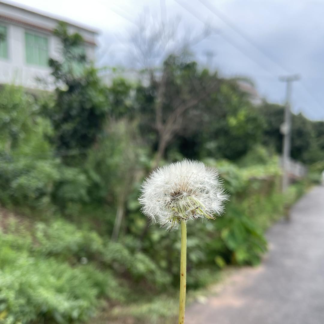 困困包