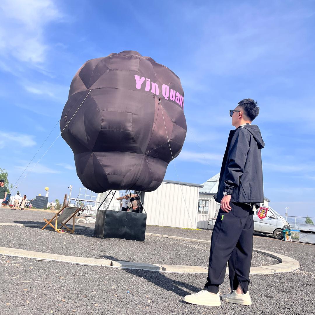 鹤总玩网络