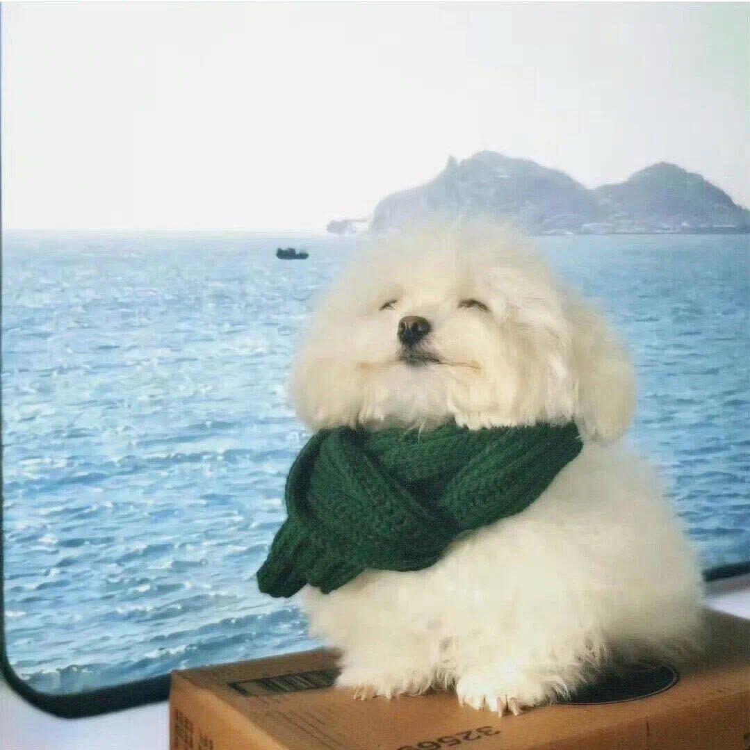 胡汉三ㅤ