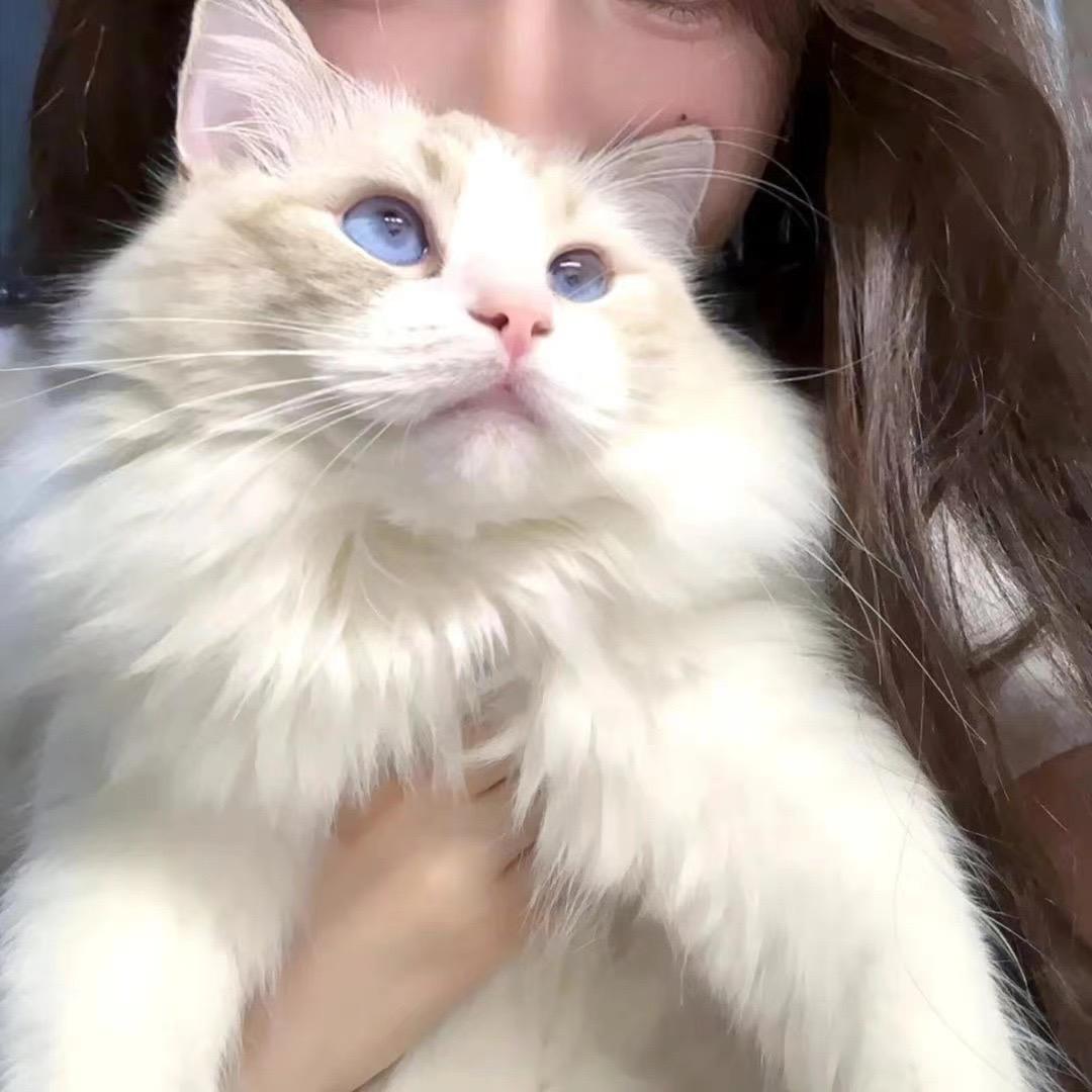 久违