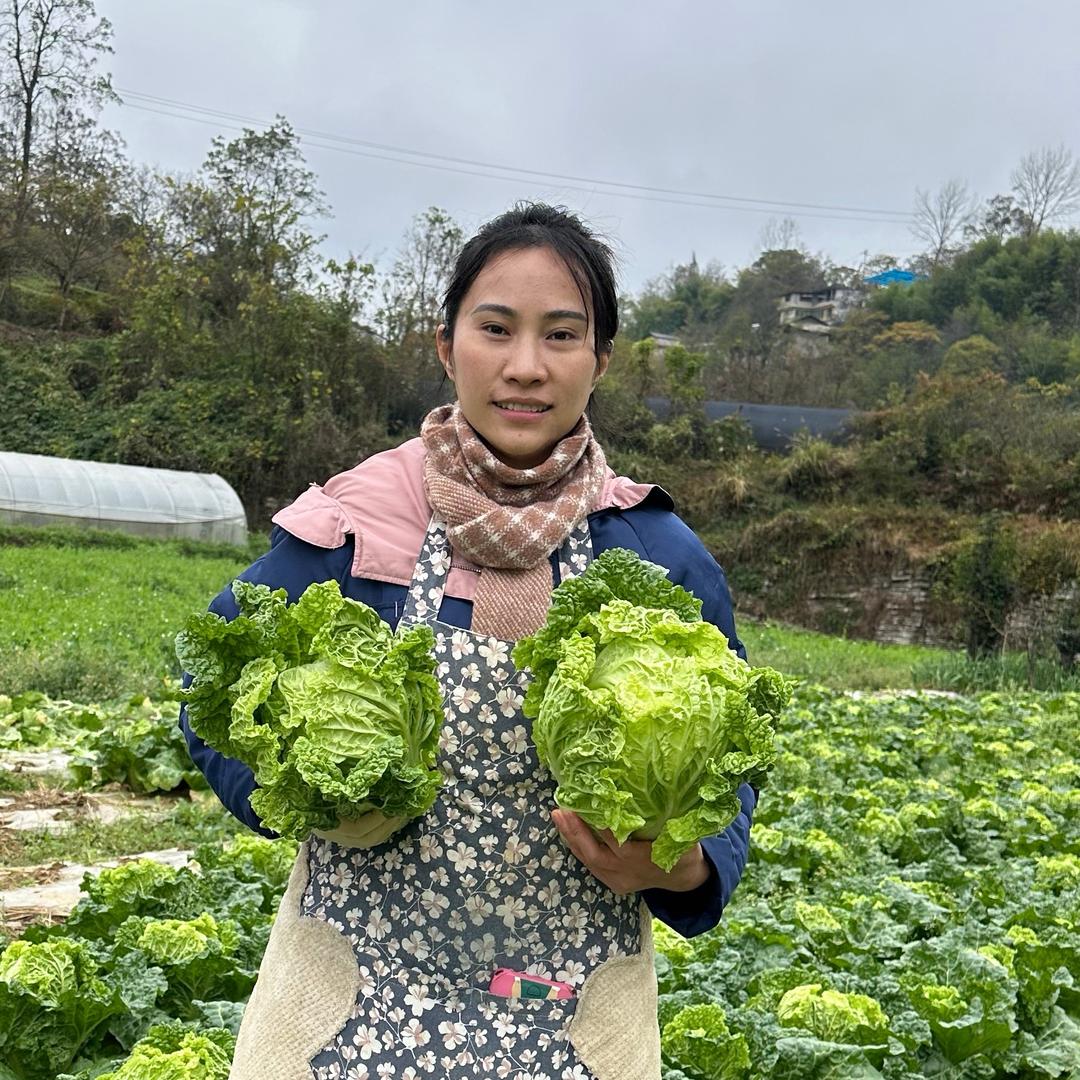 贵州农家土特产