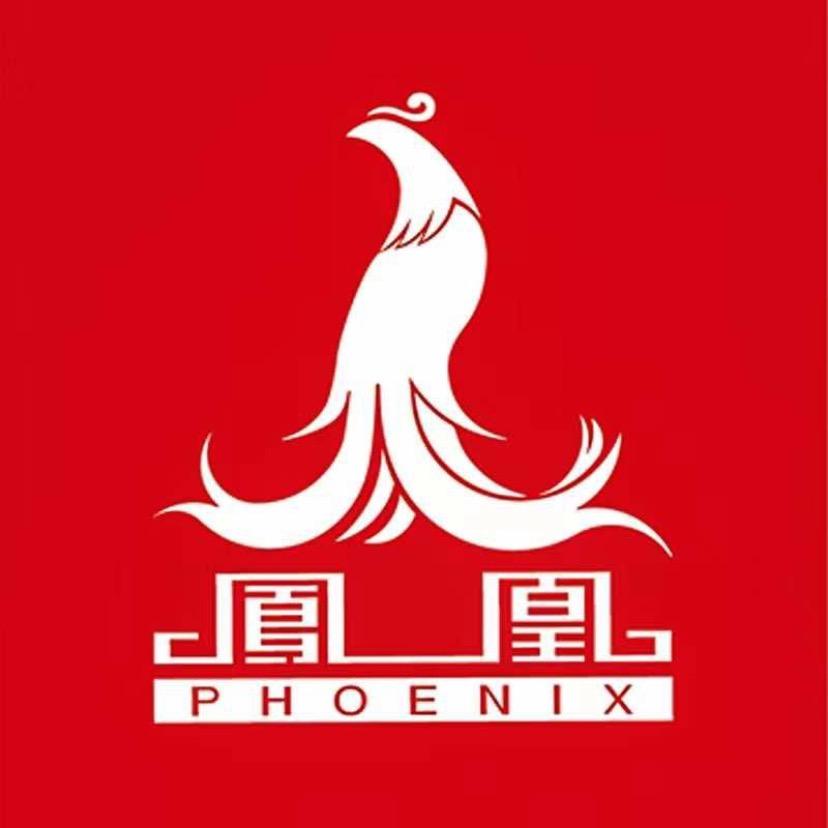 凤凰童车直播间