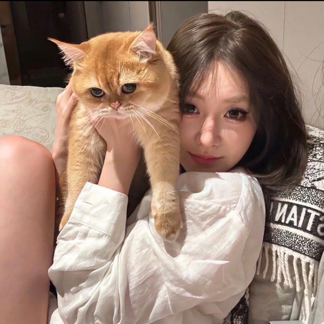 小菲77