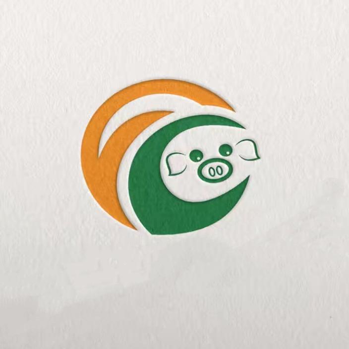 刚飞肉类供应链
