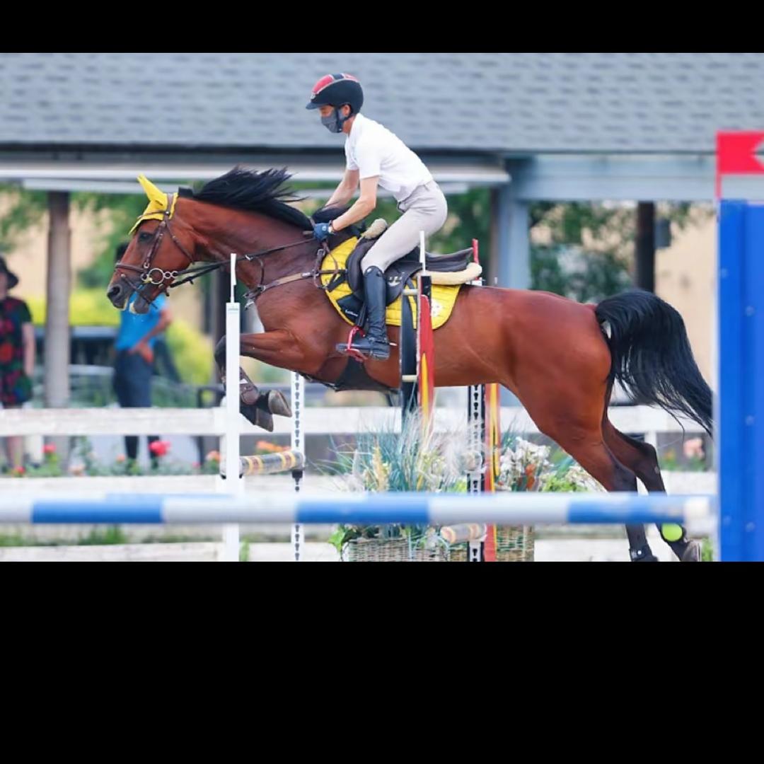 利家居瓷砖@永隆门业批发