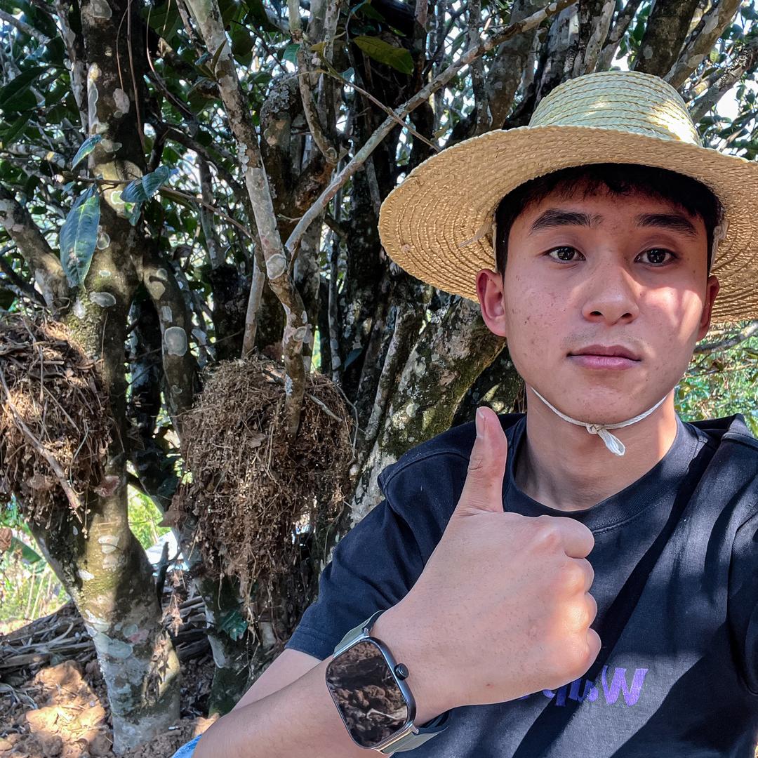 芷韵滇普茶叶店