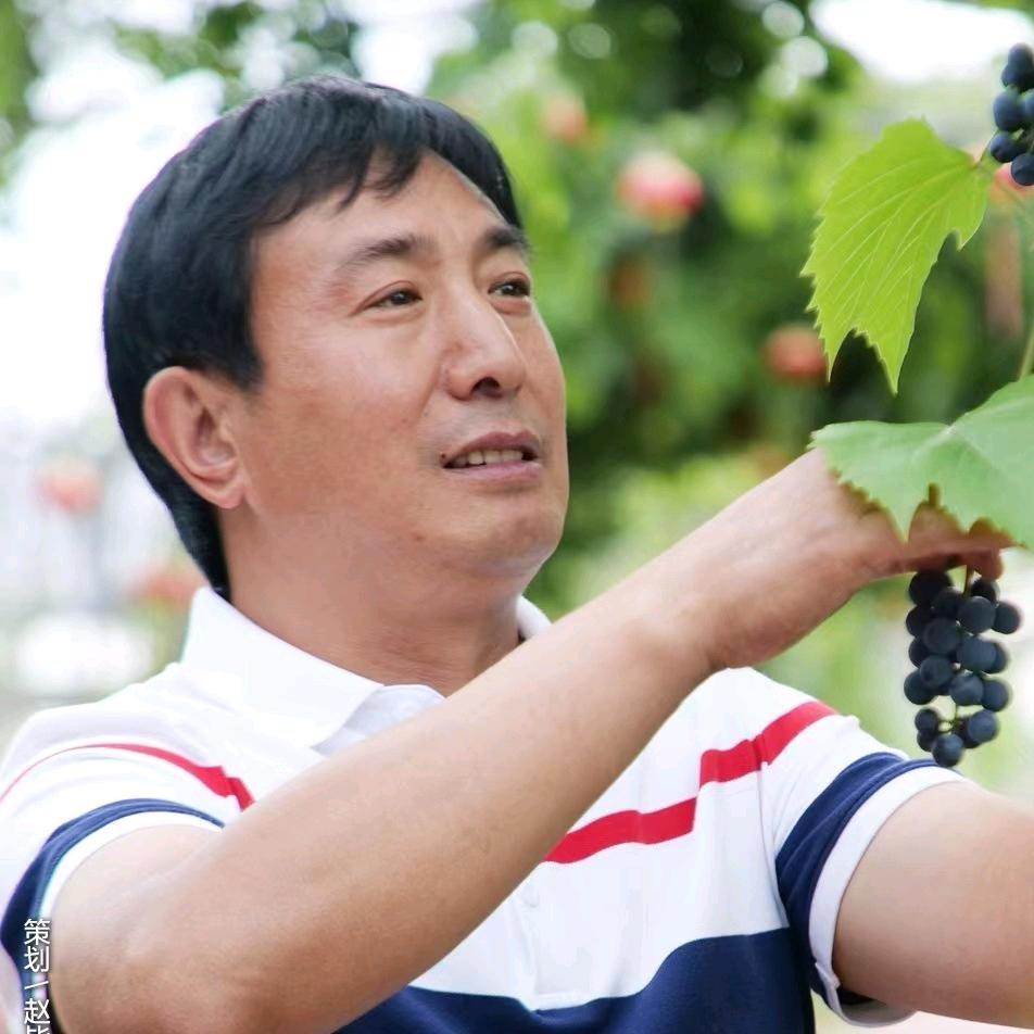 田二哥的乡村生活
