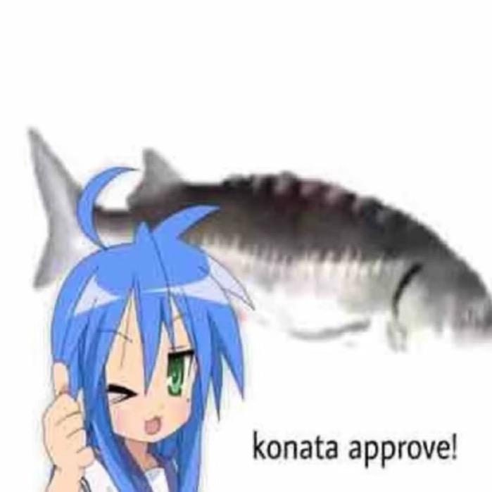 只是一只毛茸小动物