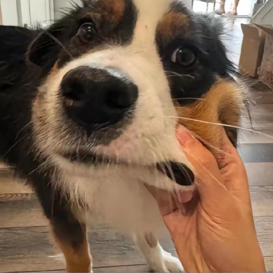，^_^，