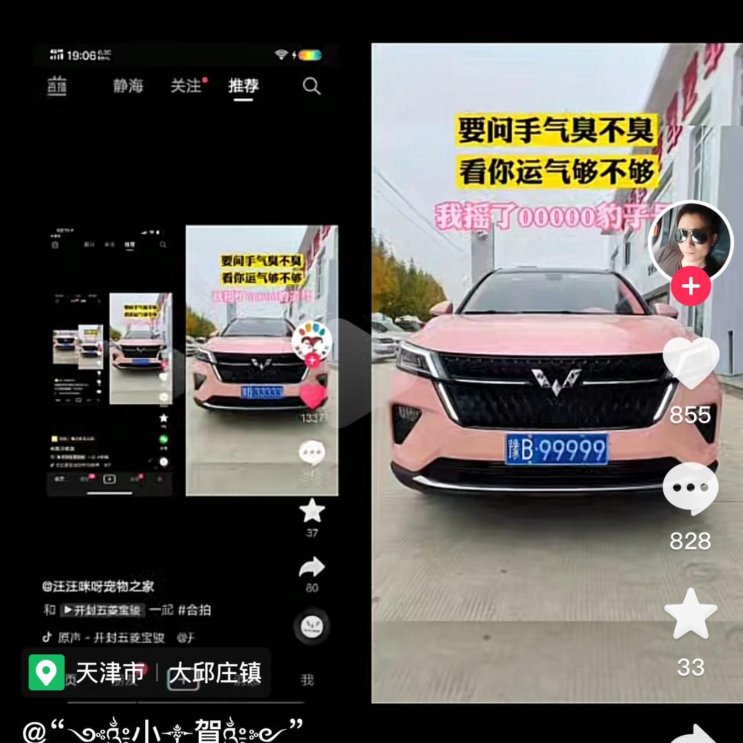 金太严