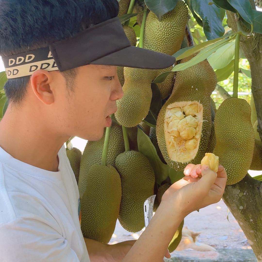 摘果兄弟