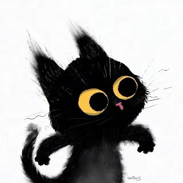 请放开那只猫