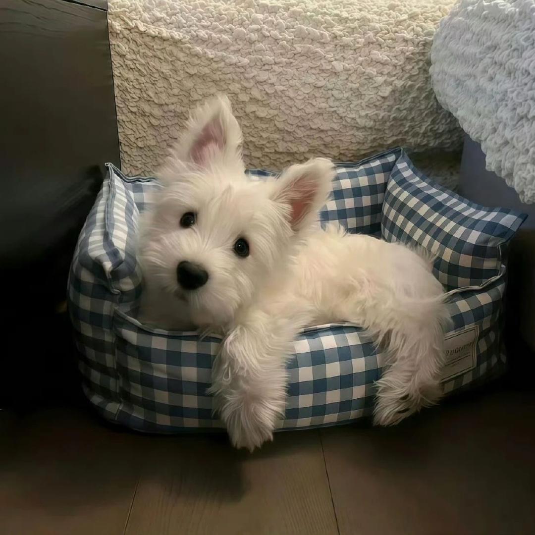 林笙第44次日落