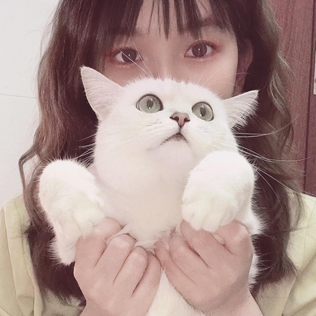 毛毛小老板