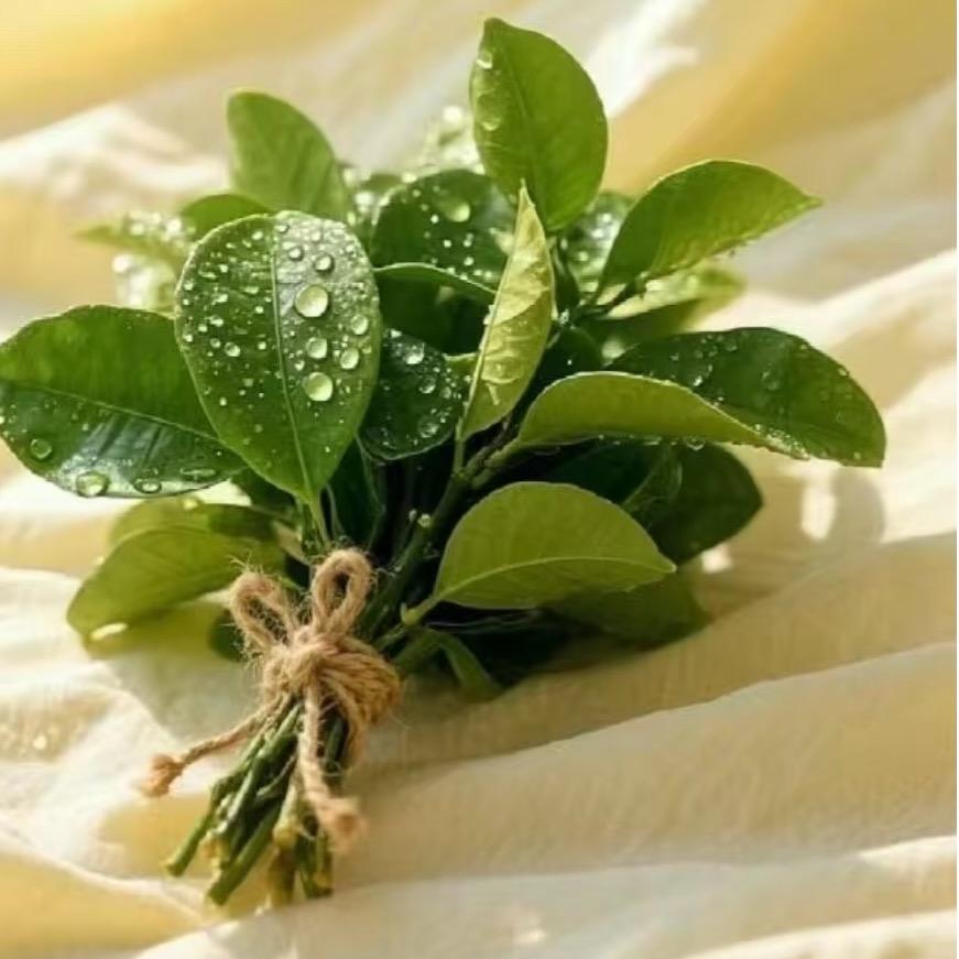 不发脾气只发财