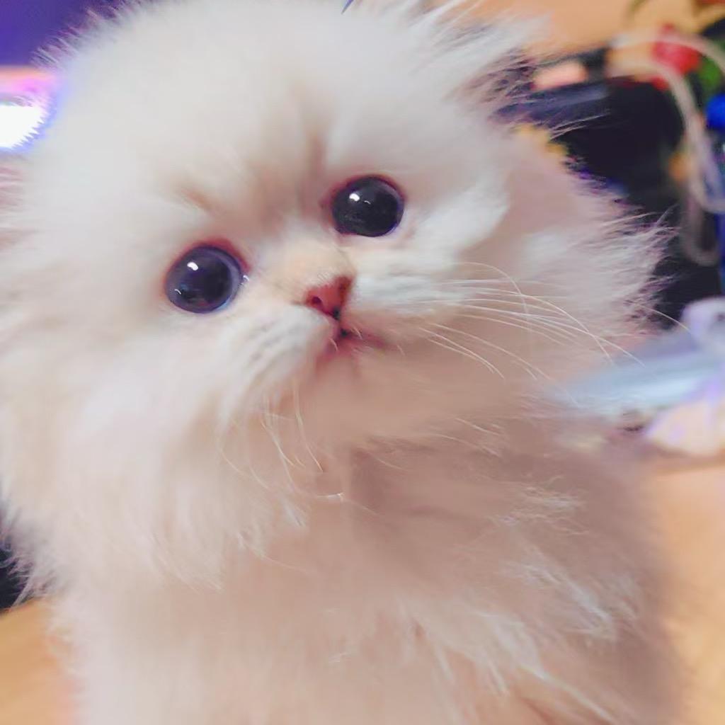 樱桃🍒🍒