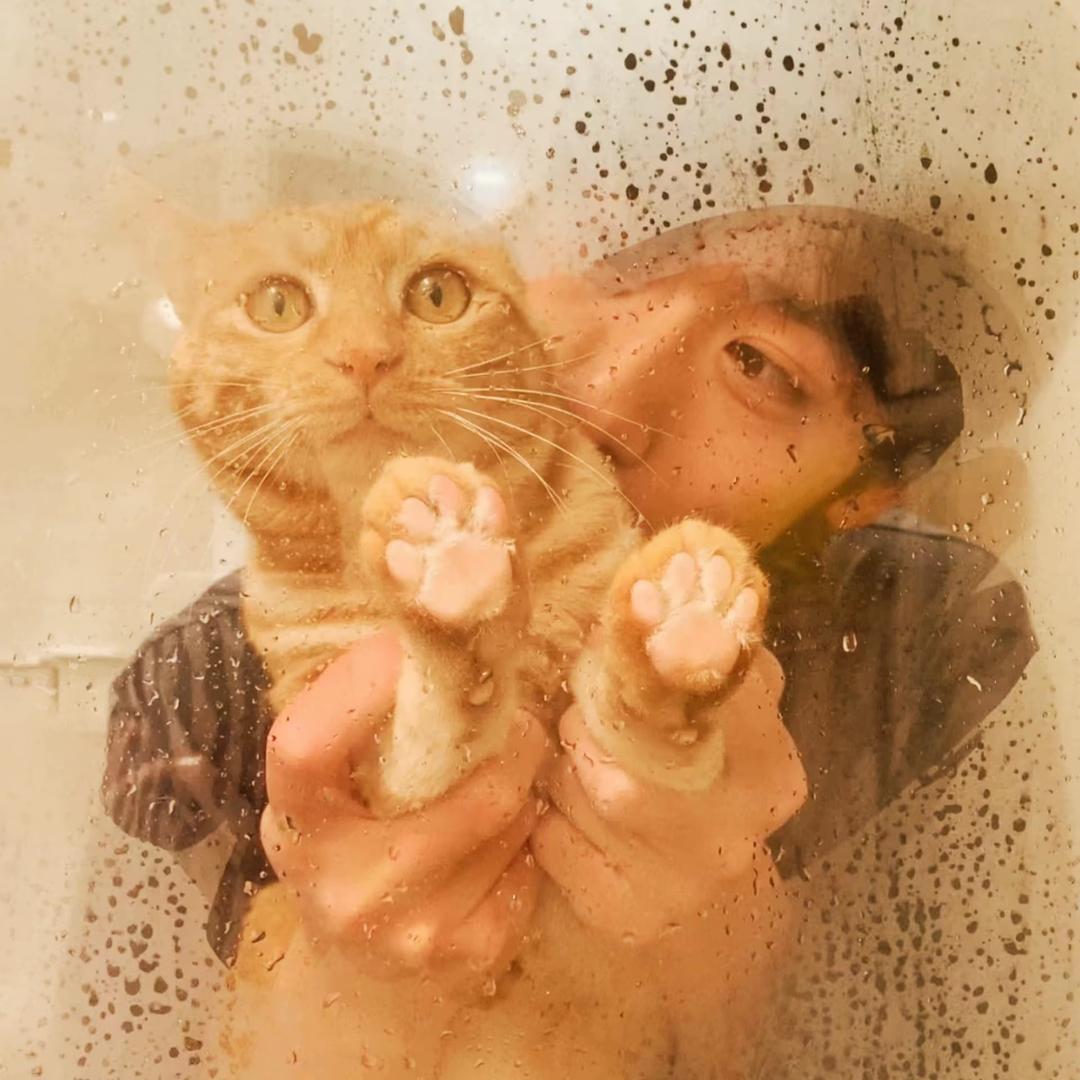 豆豆·