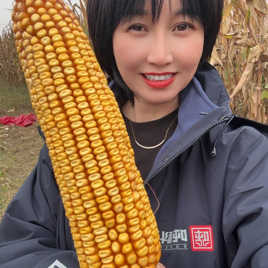 玉米大媛