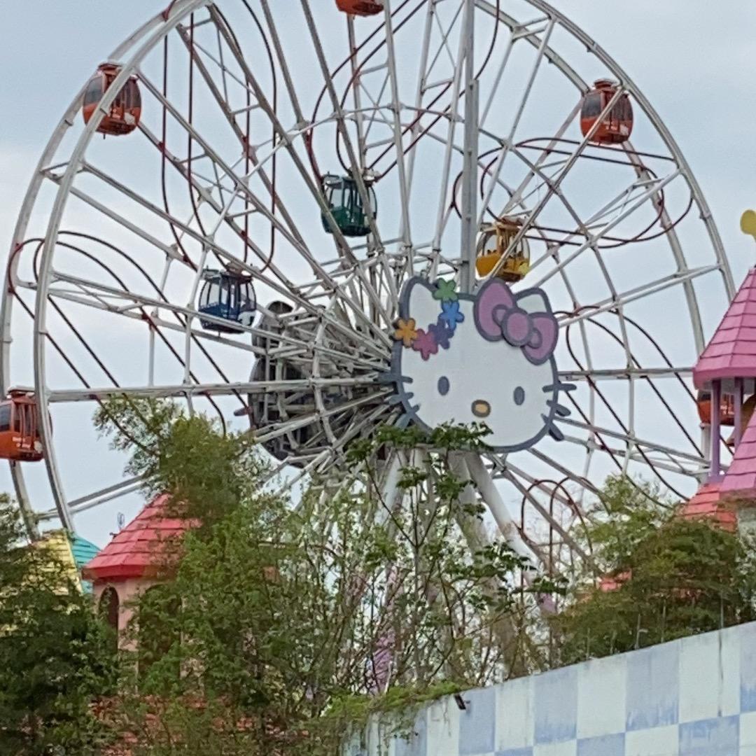 奇妙姐🎉🎉⁹¹⁶