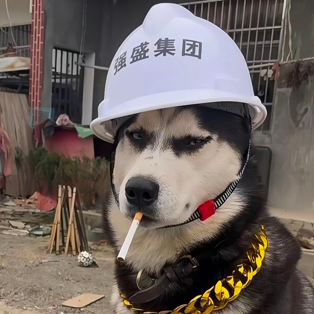 村长刚刚