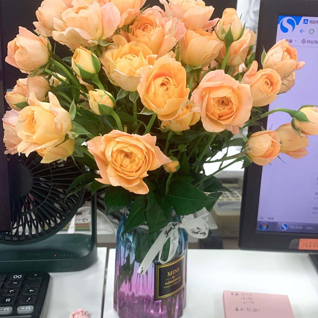 希望我是希望🌈🌈💗❤️