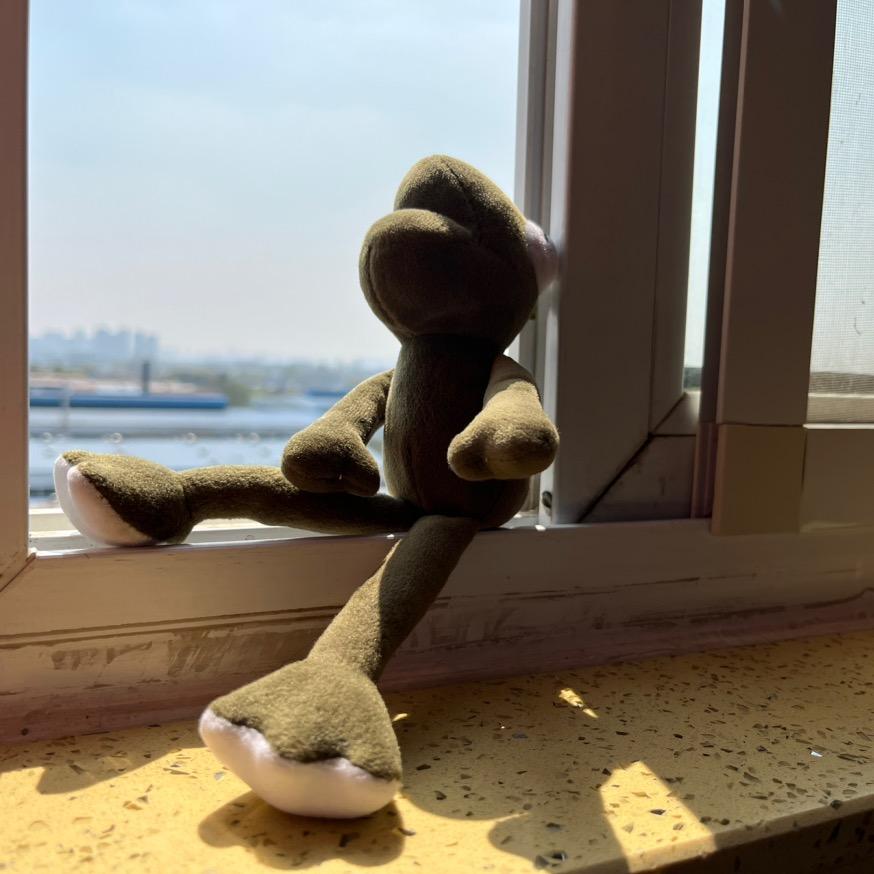 同样浮游