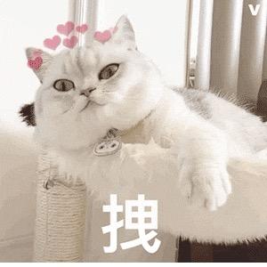 好运连连