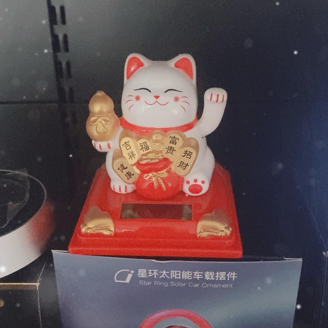 聪卉🪴