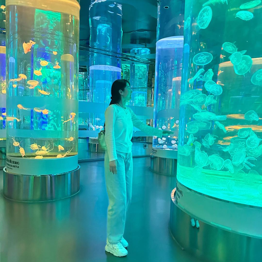 航航海