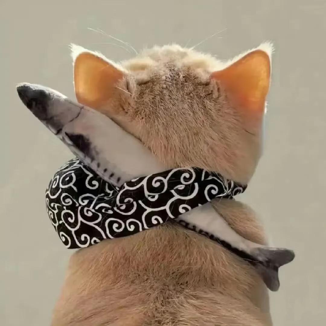 轩