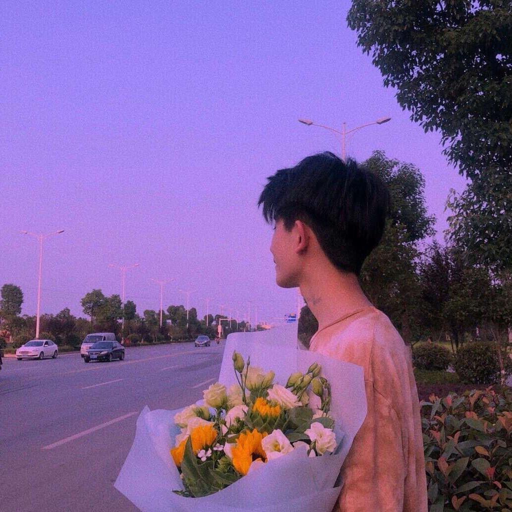 风景中的草木