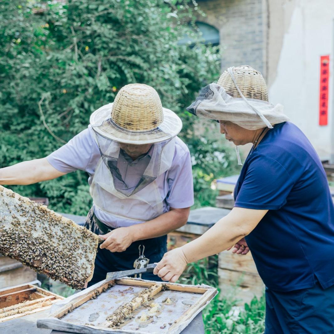 沁县蜂伯乐蜂业好货店