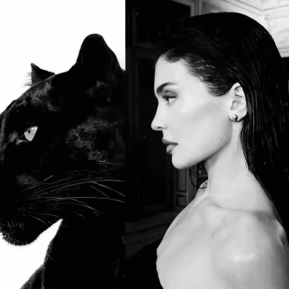 𝓼𝓱𝓮𝓷𝓺𝓲𝓷𝓳𝓲𝓮