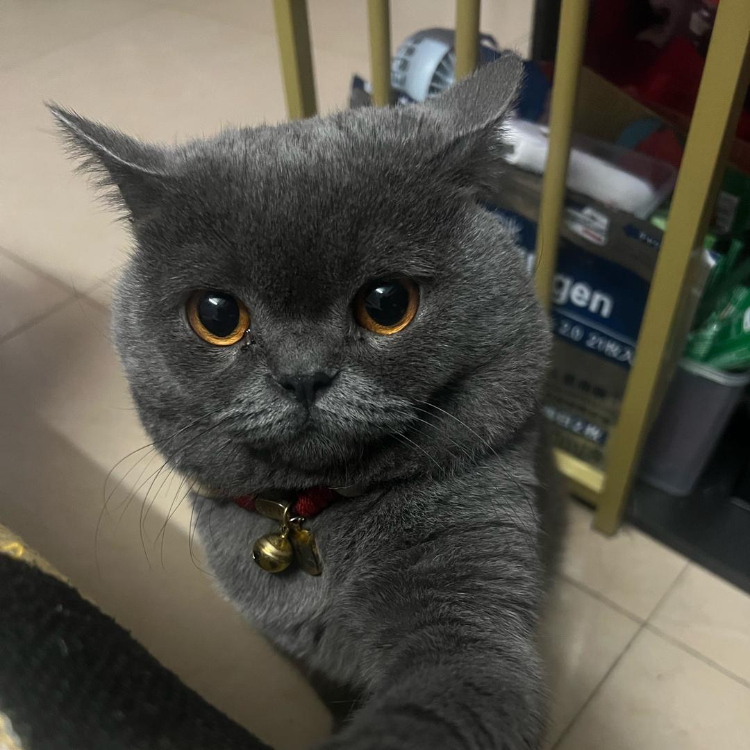 Parktree88**********