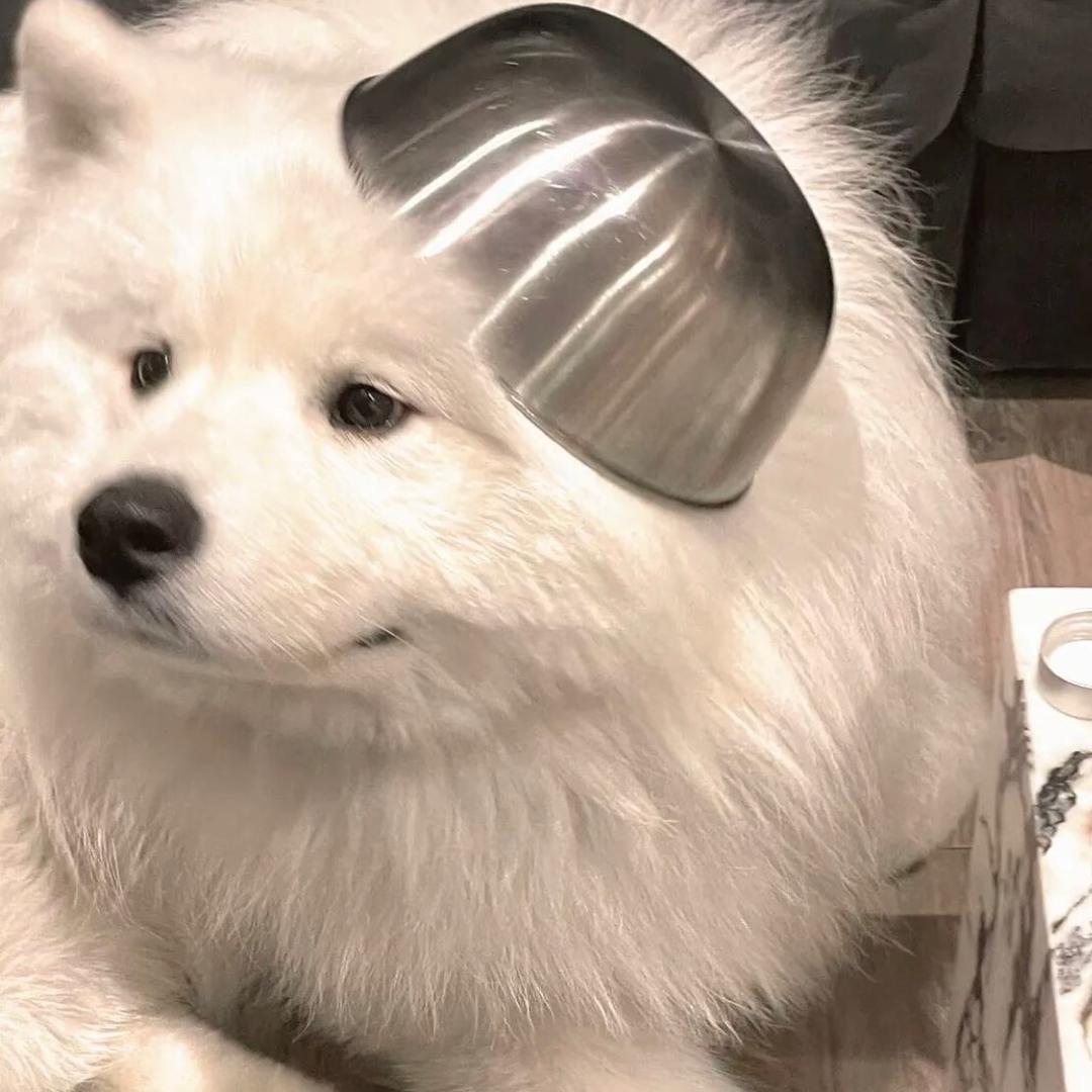 24k 纯帅