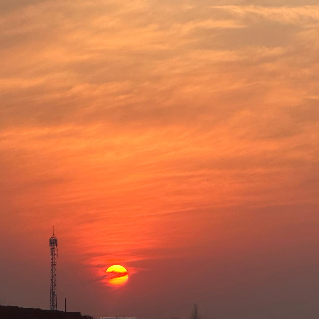 简川-粥和包子