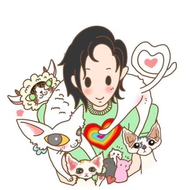 Miao500888