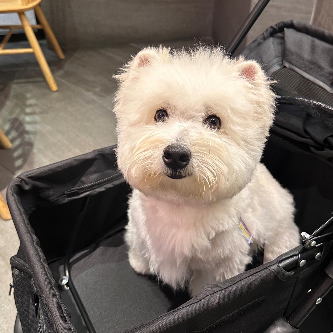 尼龙袋