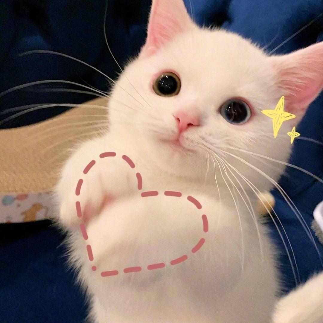 阿杜