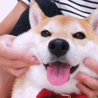 小不点