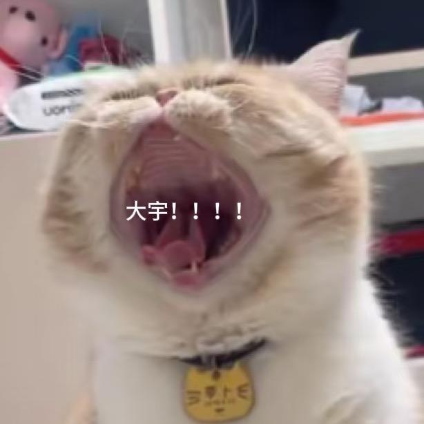 阿kk-宇宇心想事成