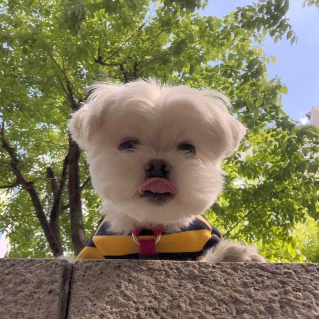 快点回消息