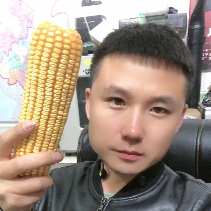 开原 董哲