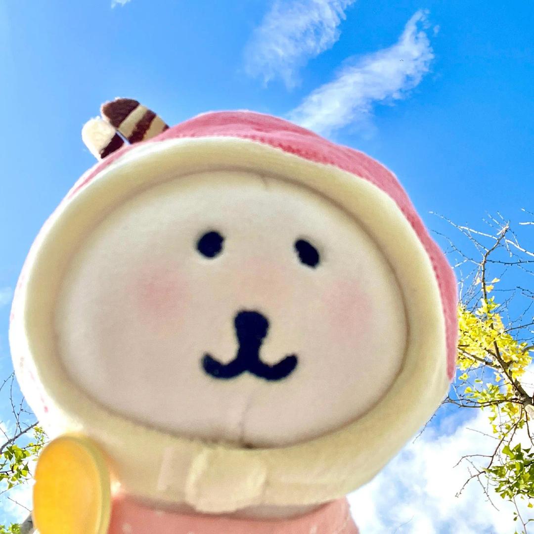 姓姓菜
