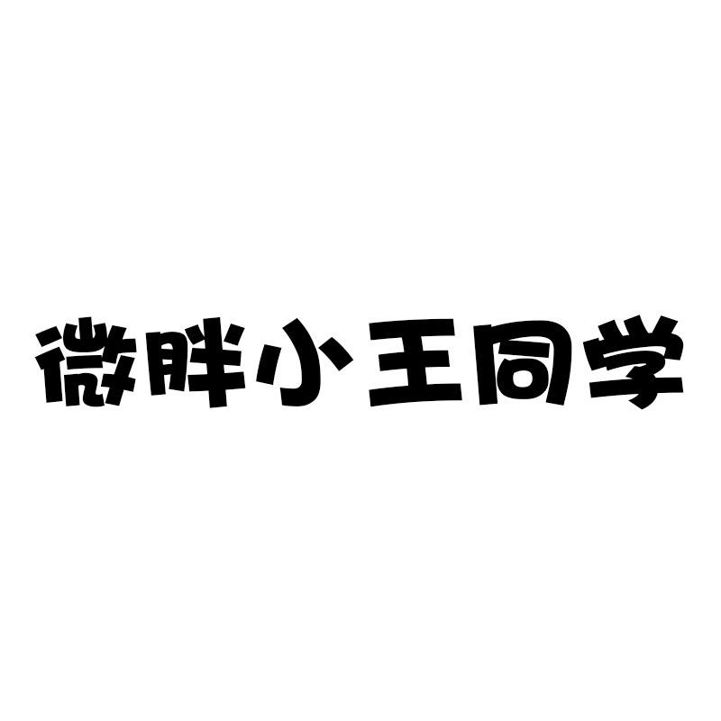 微胖小王同学