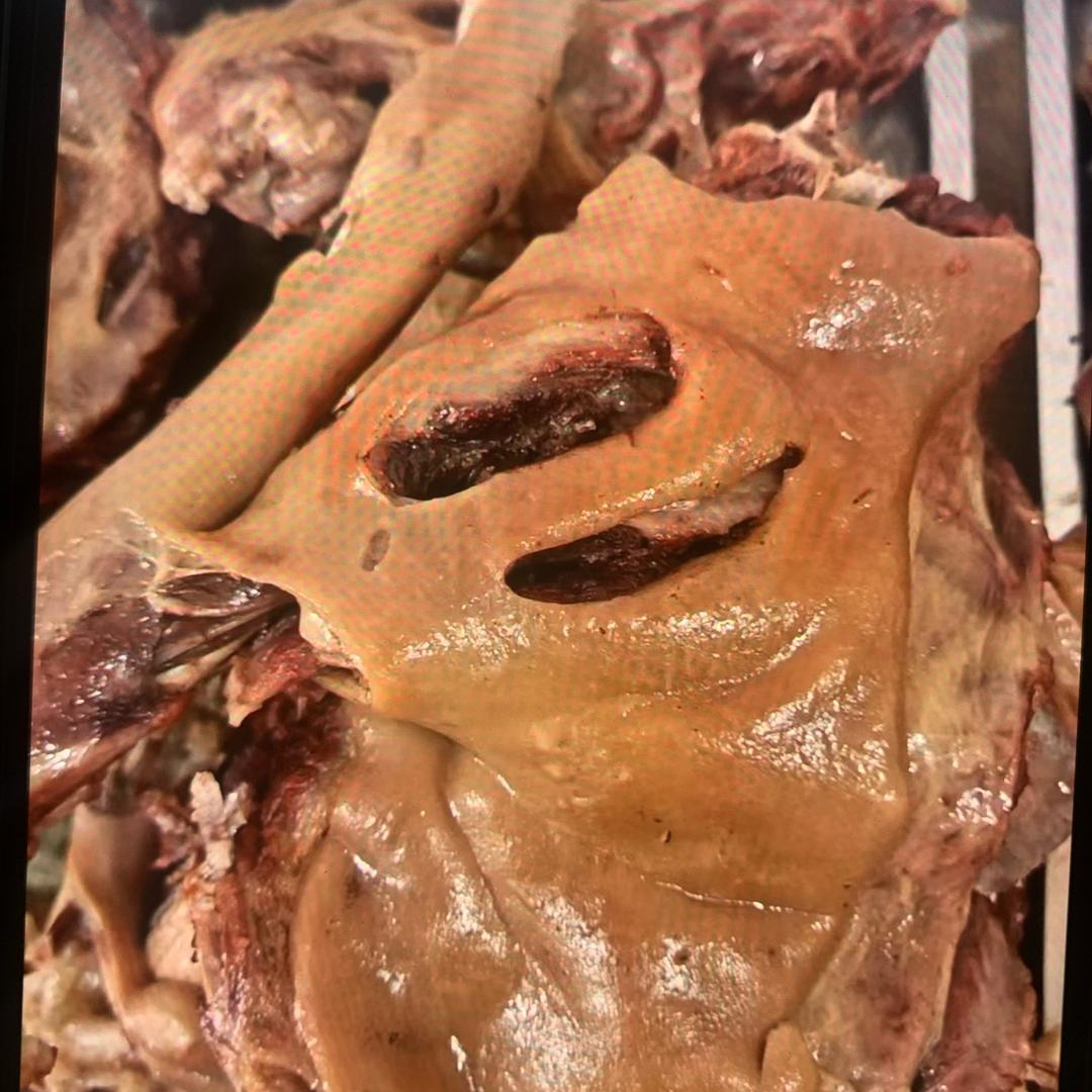 沛县瑞哥香肉