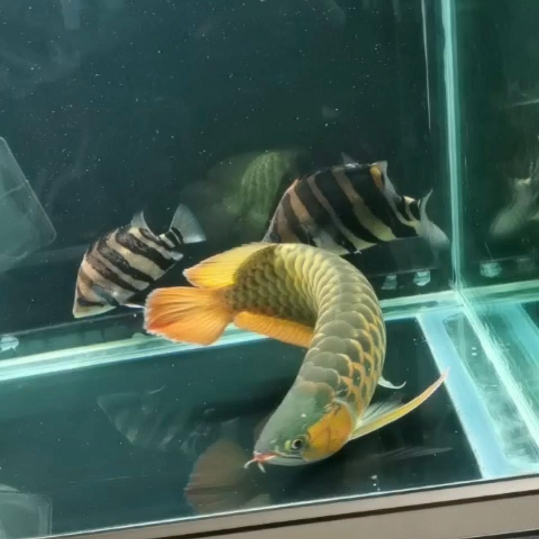 🌈心安勿忘🫡🫡🫡