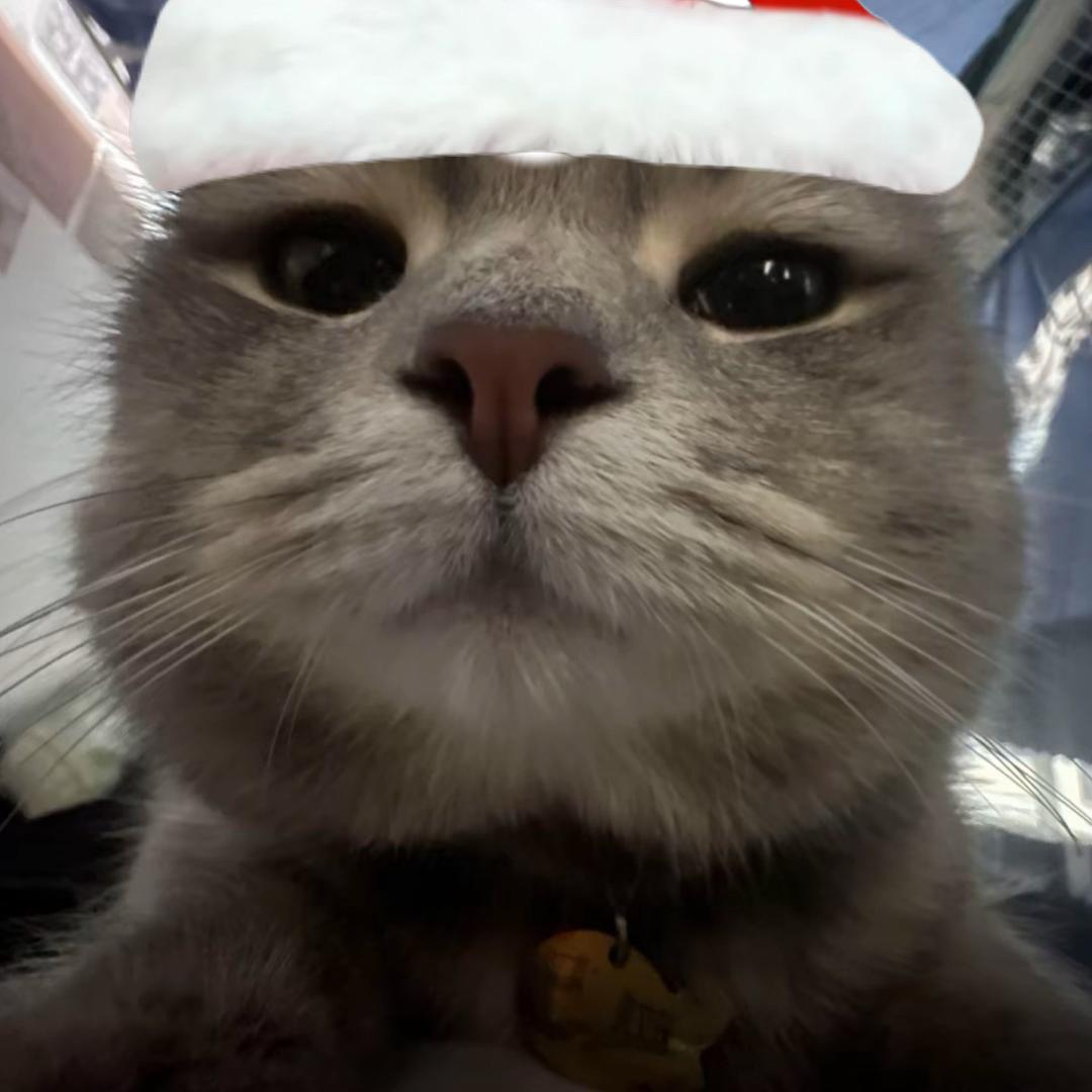 g抽子在清水寺跳伞o