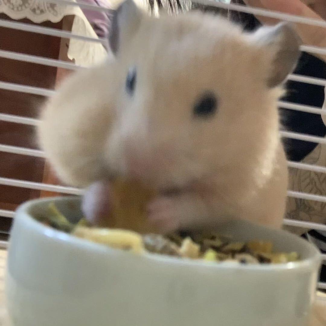 一半.
