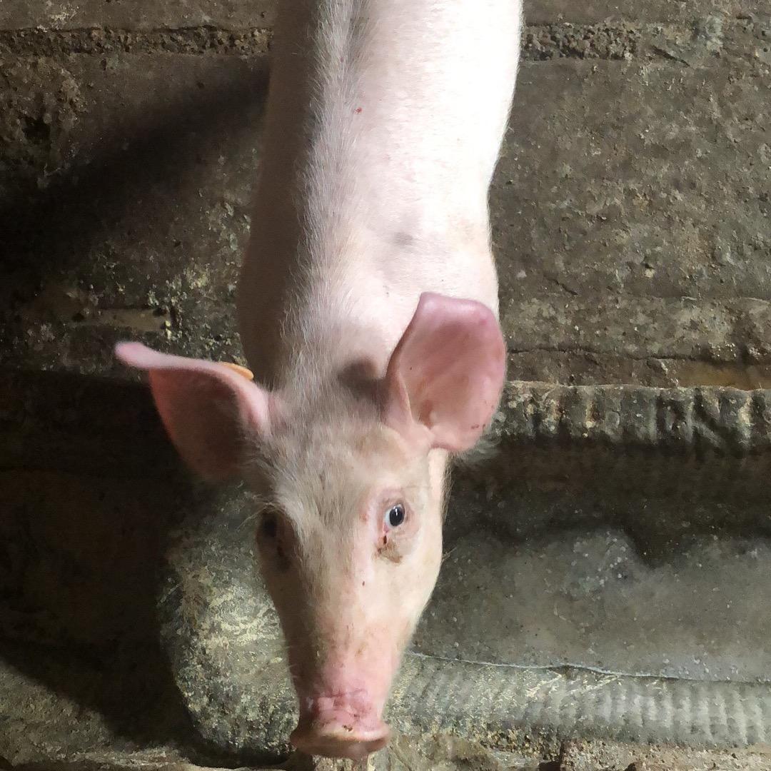 他知道风从哪个方向来